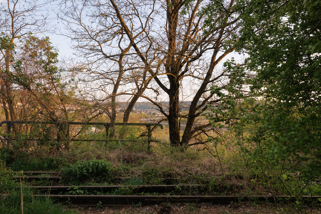 Foto: David Schalliol (All rights reserved)